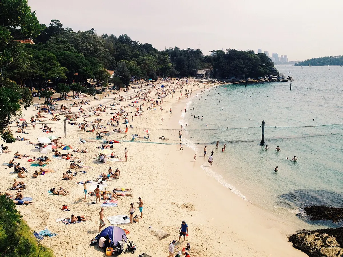 Shark Beach