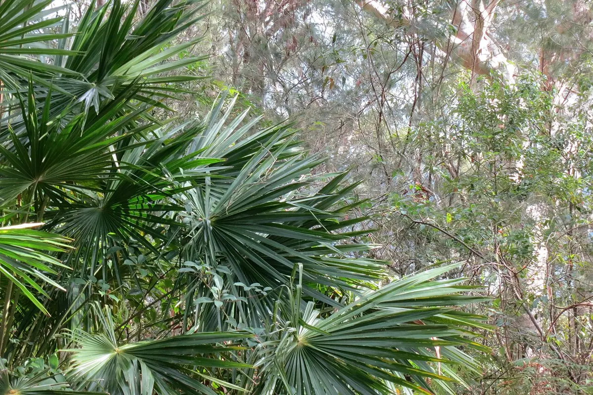 McKay Reserve