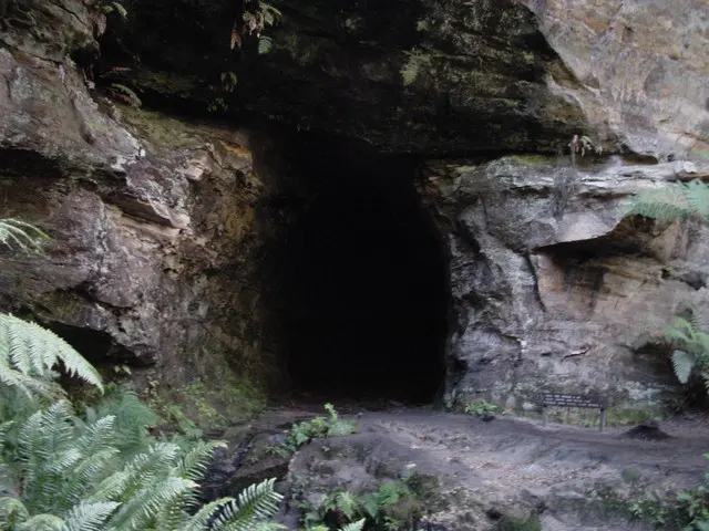 Glow Worm Tunnel Walking Track