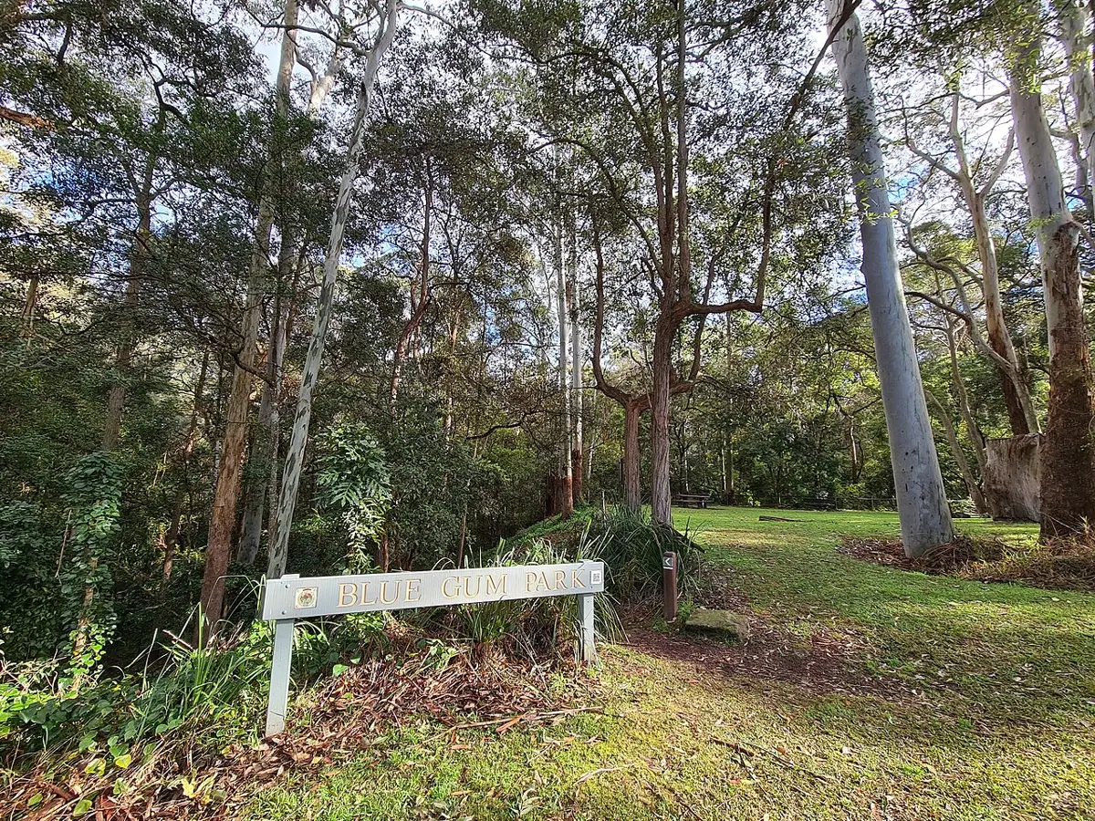 Blue Gum Reserve