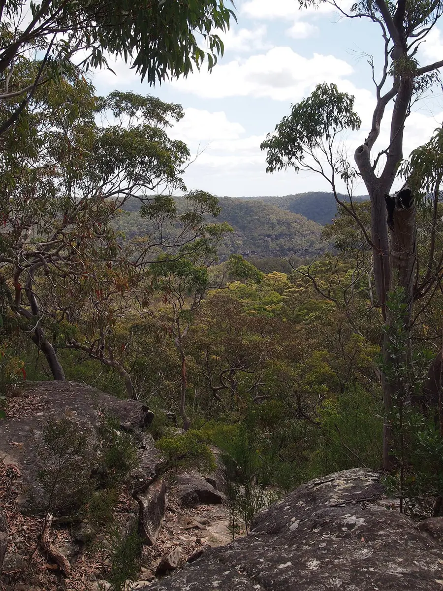 Muogamarra Nature Reserve