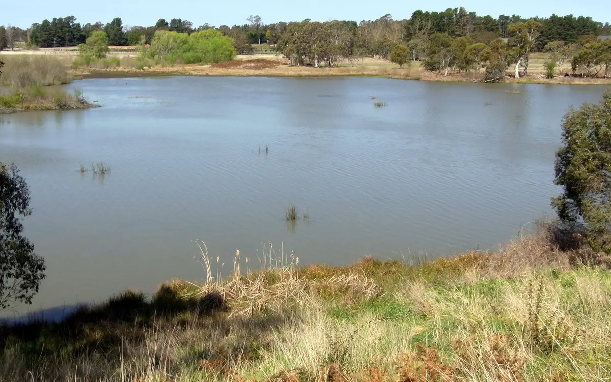 Cecil Hoskins Nature Reserve