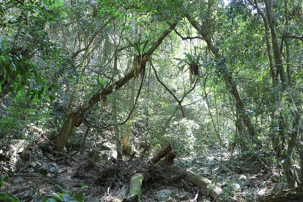 Yatteyattah Nature Reserve