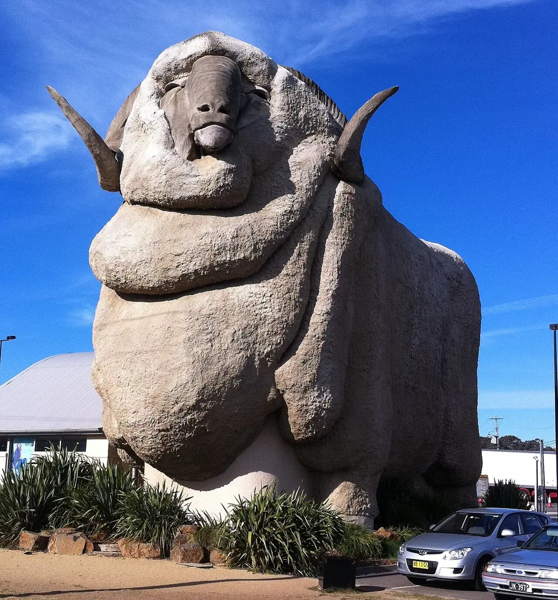 The Big Merino