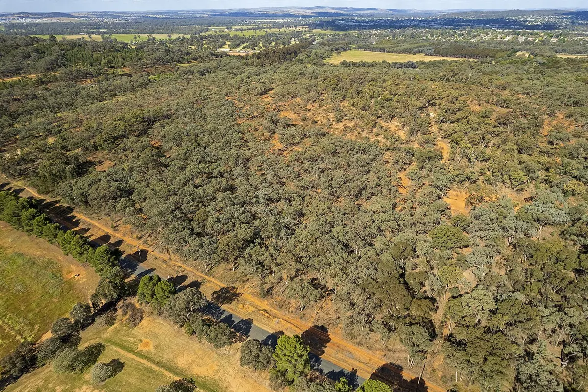 Red Hill Reserve