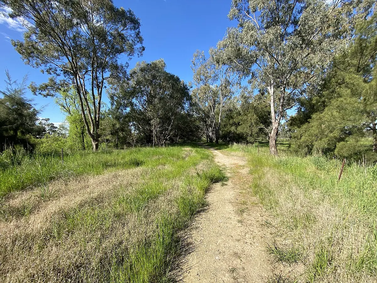Ashmont Reserve