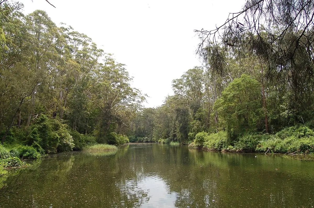 Lane Cove National Park