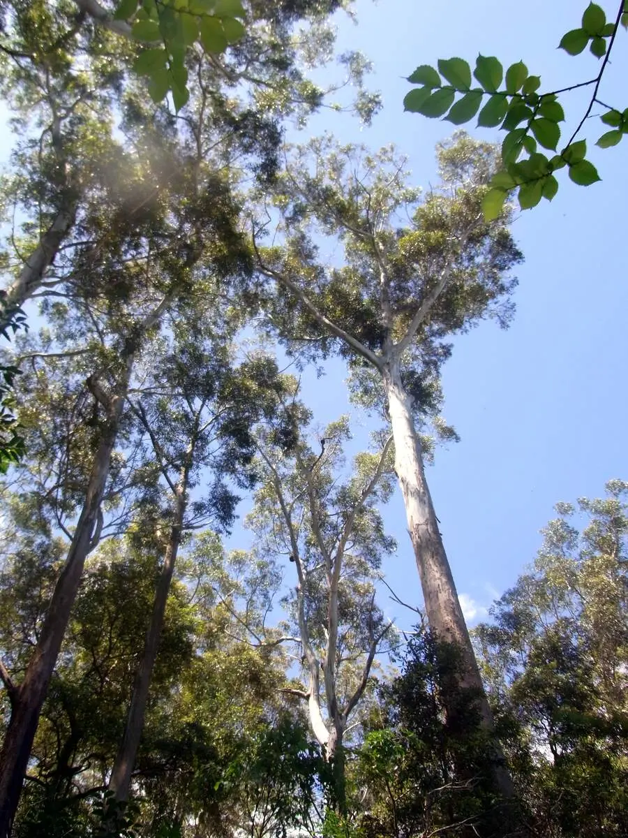 Dalrymple-Hay Nature Reserve