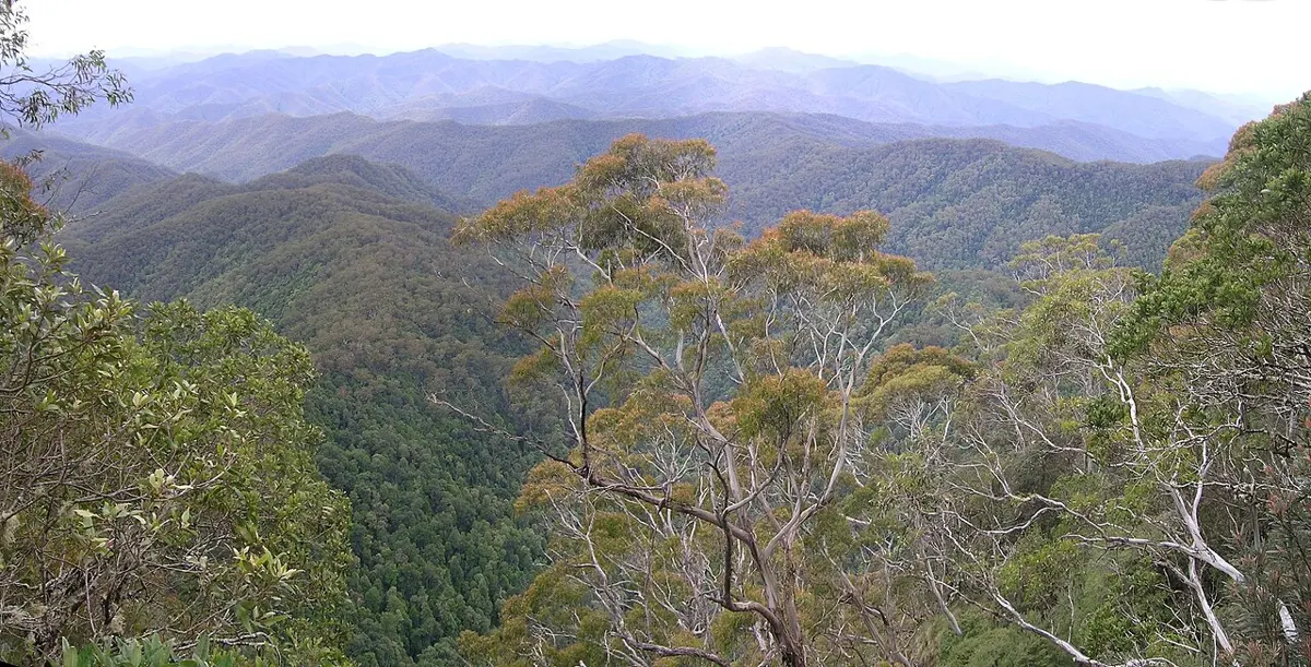 New England National Park