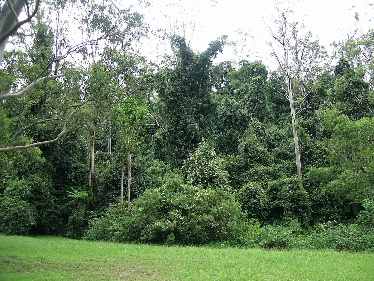 Cottan-Bimbang National Park