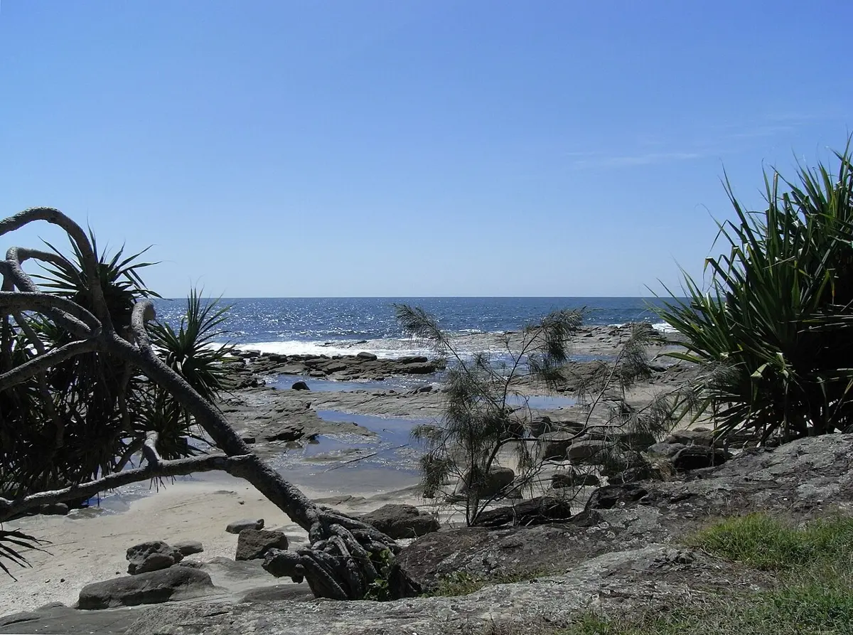 Bundjalung National Park