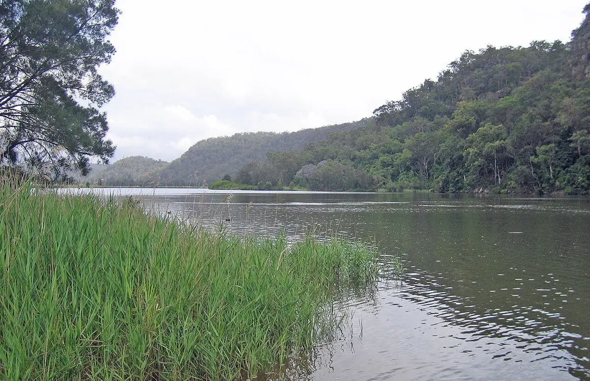 Dharug National Park