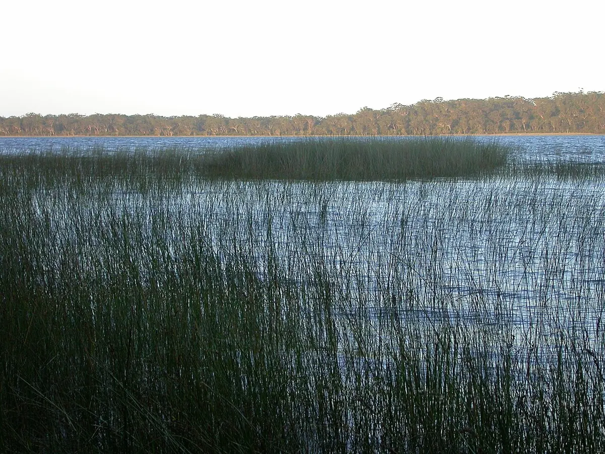 Yuraygir National Park