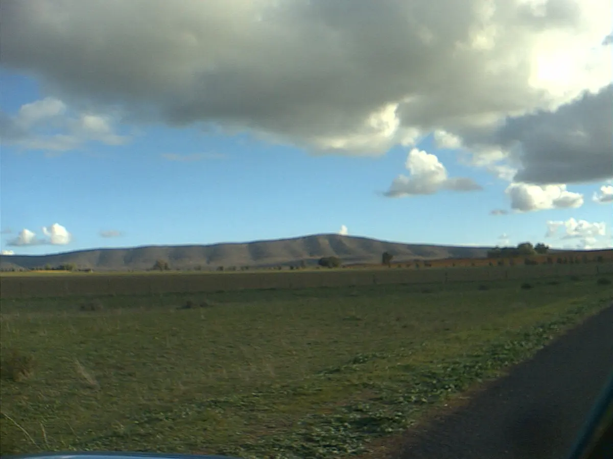 Weddin Mountains National Park