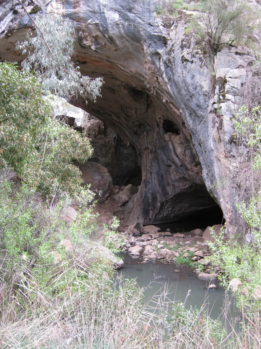 Borenore Karst Conservation Reserve