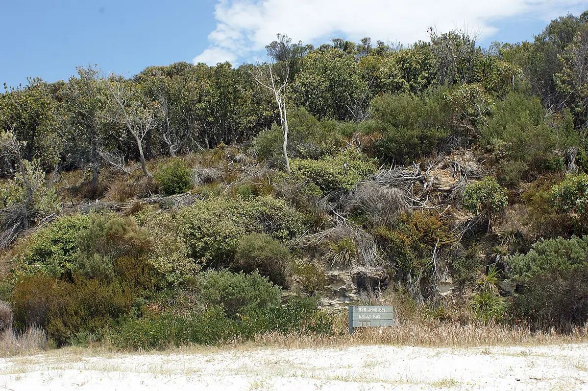 Jervis Bay National Park