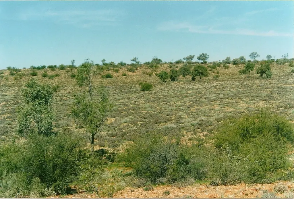 Sturt National Park