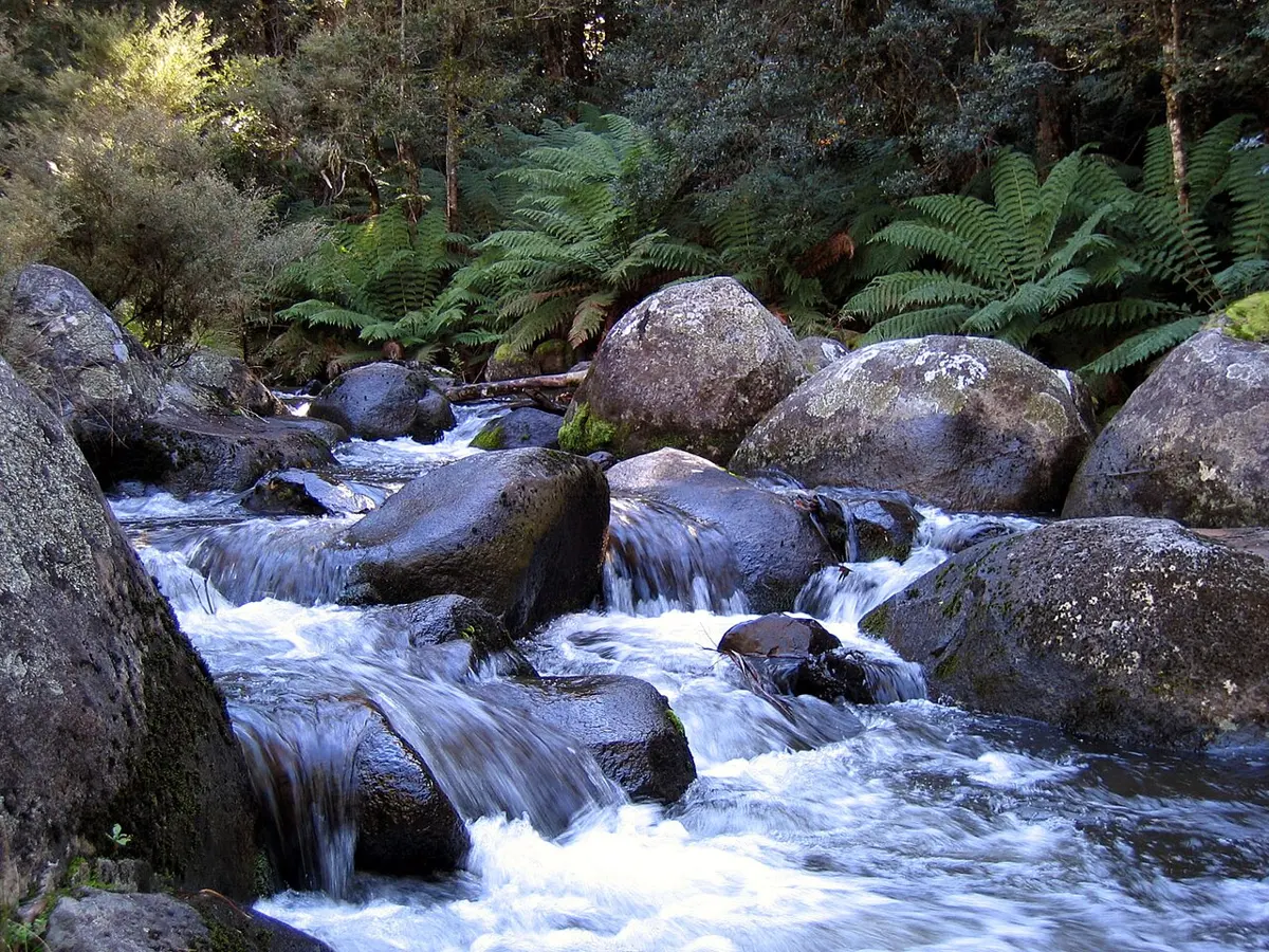Barrington Tops National Park