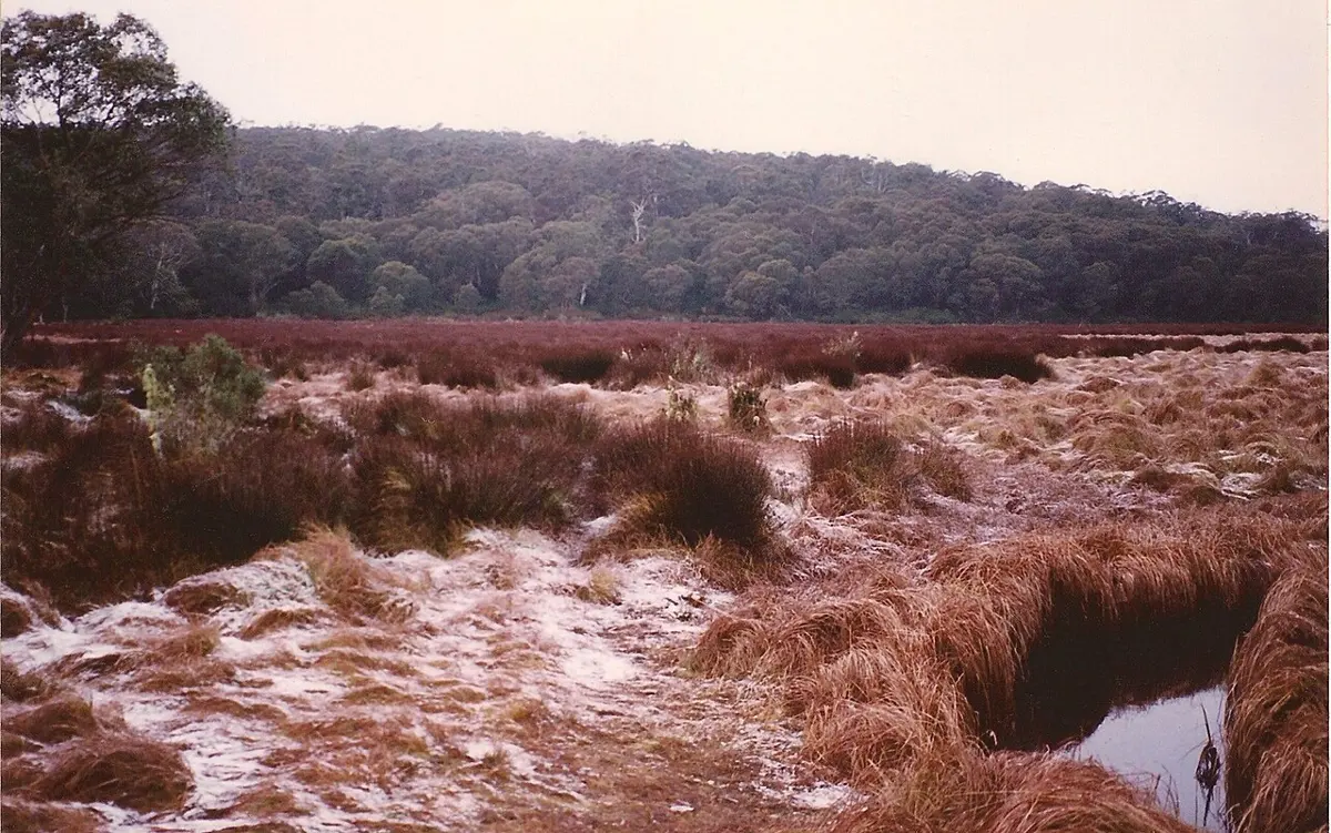 Barrington Tops State Conservation Area