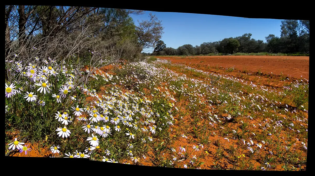 Gundabooka National Park