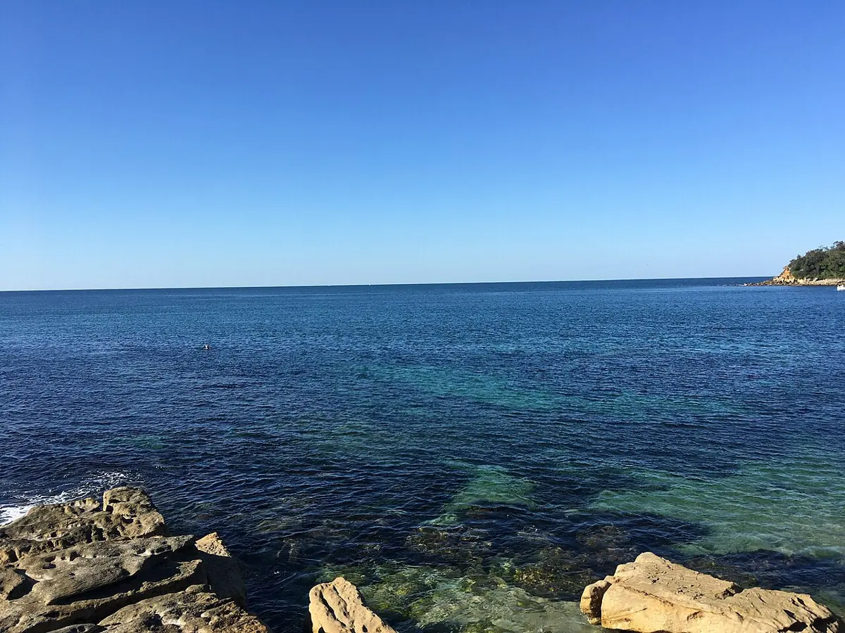 Cabbage Tree Bay Aquatic Reserve