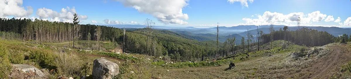 Mount Beenak